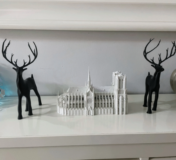 notre dame - apollo 3d 2